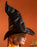 Gruffalo & Friends Room on the Broom Girls Multicoloured 4 Piece Costume