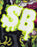 SpongeBob SquarePants Slime Boys Multicoloured Short Sleeved T-Shirt