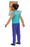 Minecraft Steve Boys Green 2 Piece Costume