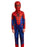 Spiderman Core Costume Unisex Kids Multicoloured 2 Piece Costume