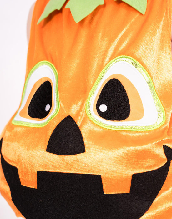 Blues Group Pumpkin Unisex Kids Orange 2 Piece Costume