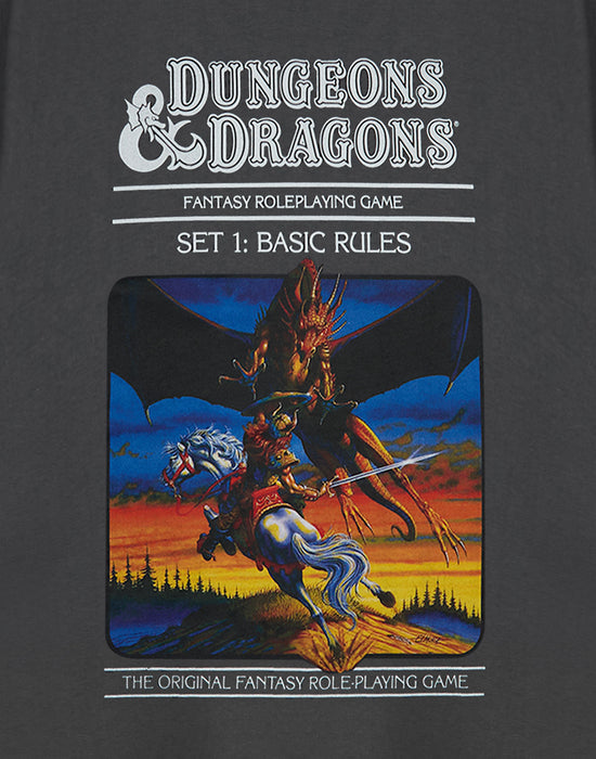 Dungeons & Dragons The Original Mens Grey Short Sleeved T-Shirt
