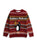 Wallace And Gromit Feathers Unisex Red Christmas Jumper