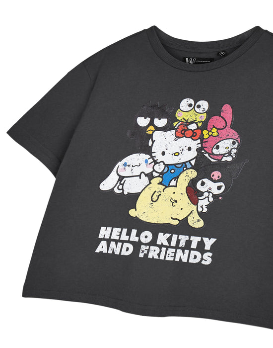 Hello Kitty Hello Kitty & Friends Womens Grey Cropped Short Sleeved T-Shirt