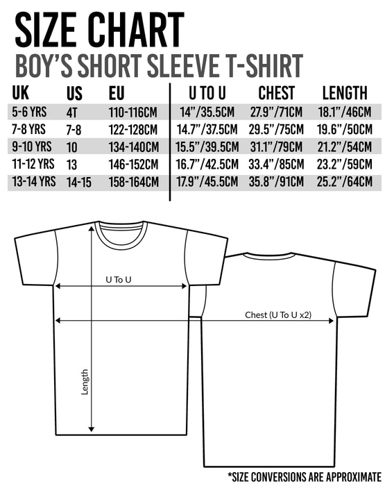 Sonic the Hedgehog Boys Blue Short Sleeved T-Shirt