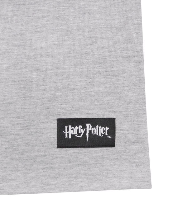 Harry Potter Hogwarts House Crests Men's Raglan Top