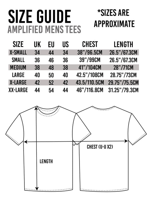 Amplified N.W.A Logo Men's Short Sleeve Charcoal T-shirt