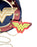 Wonder Woman Shield Crossbody Bag