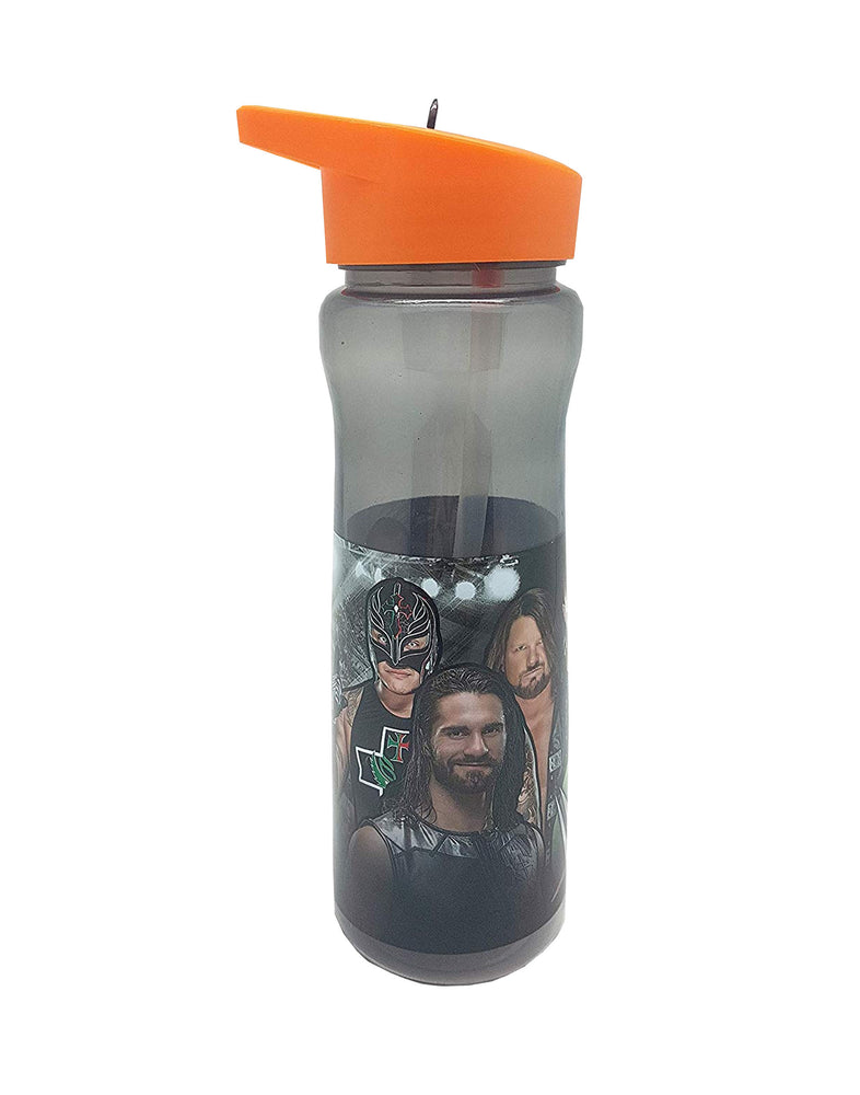WWE Sports Bottle 600ml