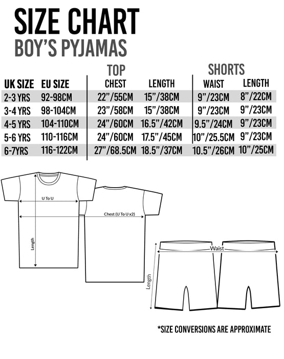 Disney Pixar Lightning McQueen Boys/Toddler Pyjamas 2 Piece Shorts Set 2-8 Years