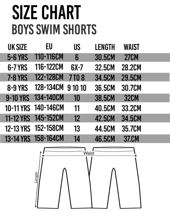 Minecraft Boy's Swim Shorts