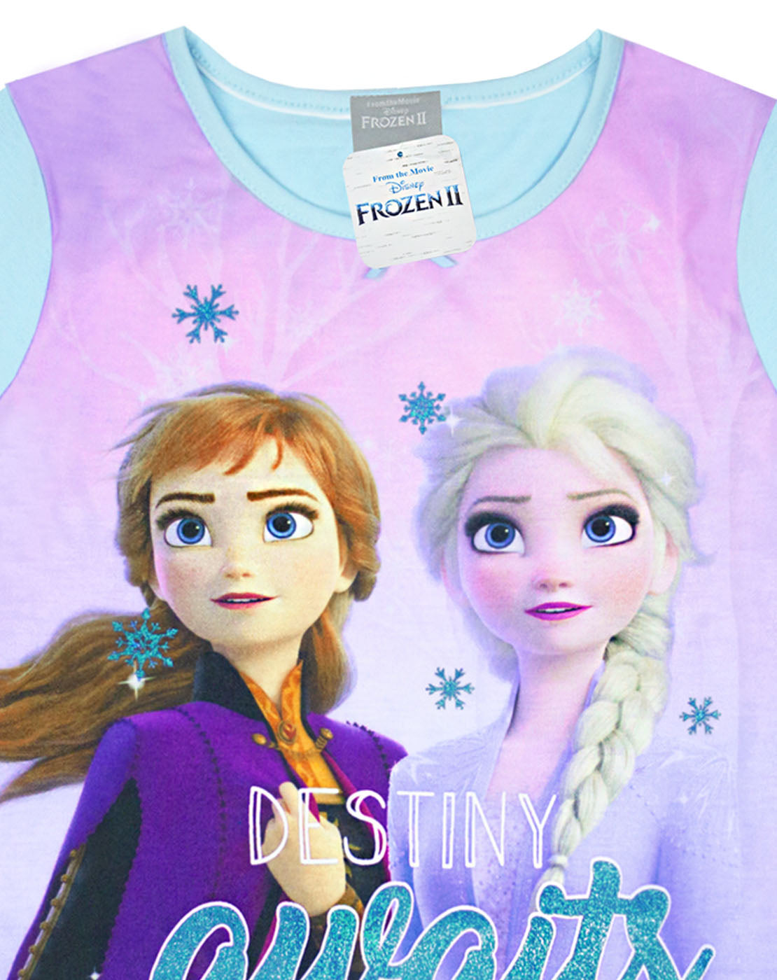 Disney Frozen 2 Elsa And Anna 