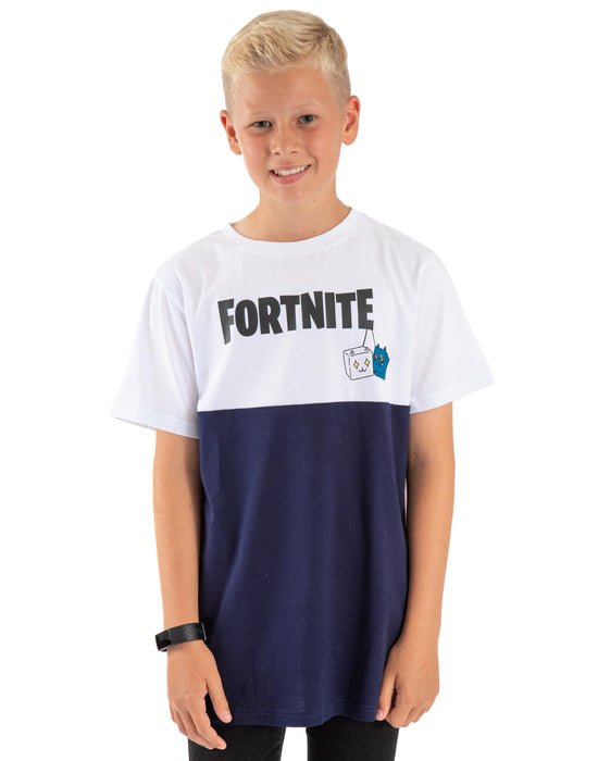 Fortnite Colour Block Logo Boy's T-Shirt — Vanilla Underground