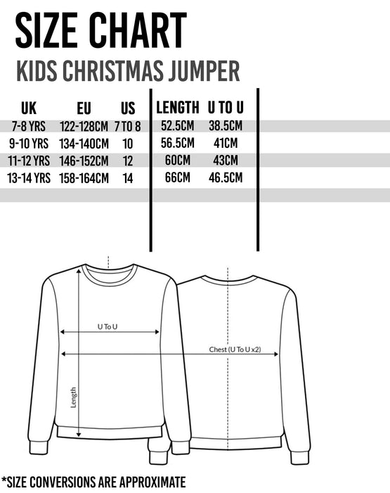 Harry Potter Kids Knitted Christmas Jumper