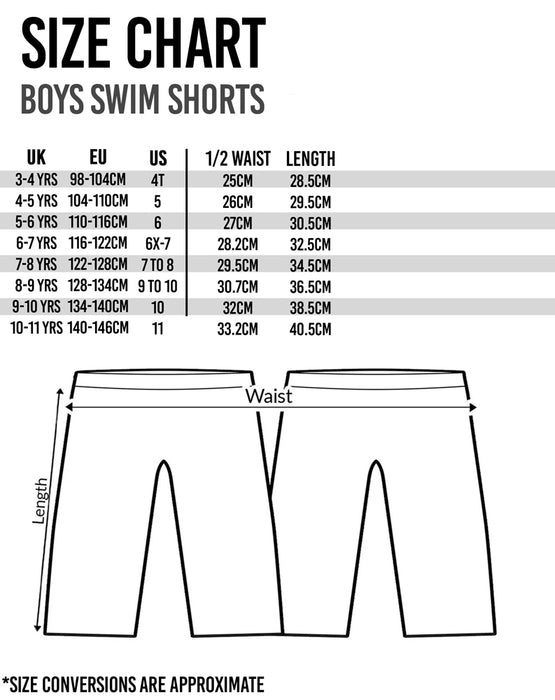 Marvel Swim Shorts