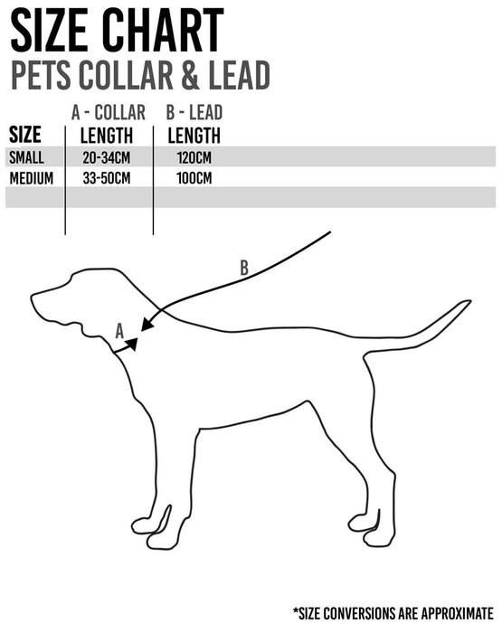 Marvel Pets 4 Piece Gift Set