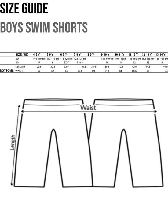 Playstation Boy's Swim Shorts Blue & Black