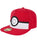 Pokemon 3D Pokeball Snapback Cap