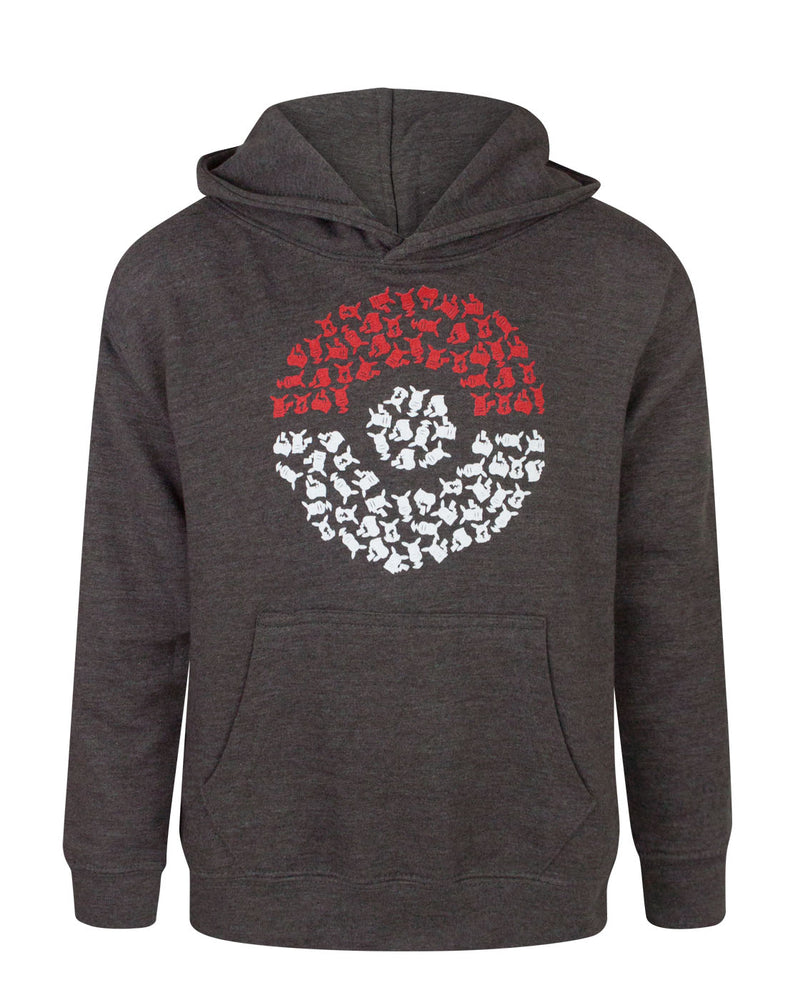 Pokemon Pokeball Boy's Hoodie