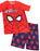 Spiderman Two Piece Boys Swim Set