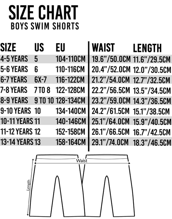 Jurassic World Boy's Dinosaur Swim Shorts